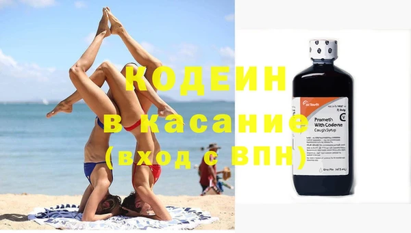крисы Баксан